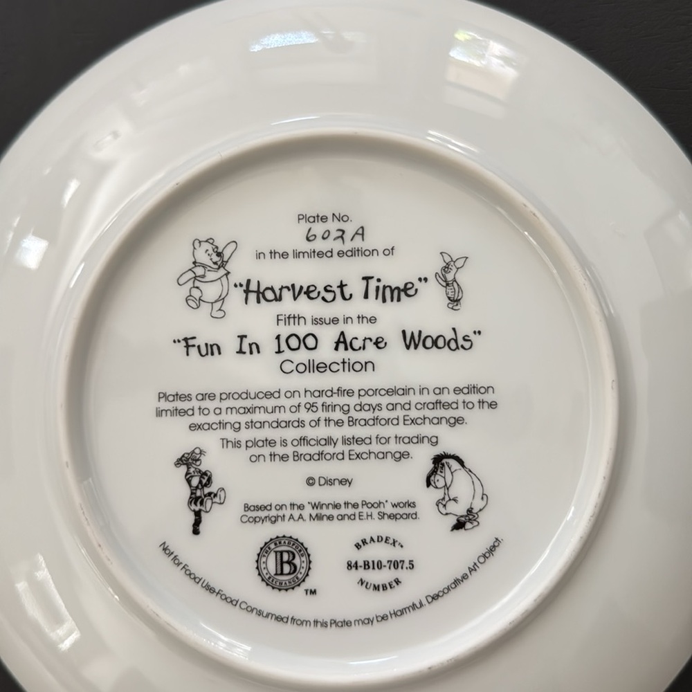 Winnie the Pooh Bradford Exchange Collectible Plates - Picture 5 of 10